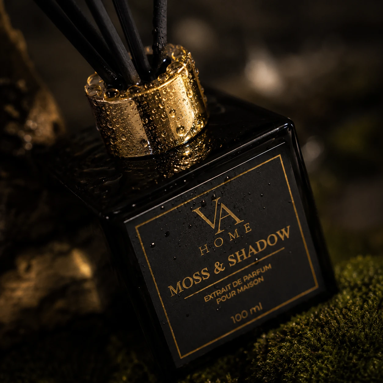 VA HOME moss-and-shadow — macro